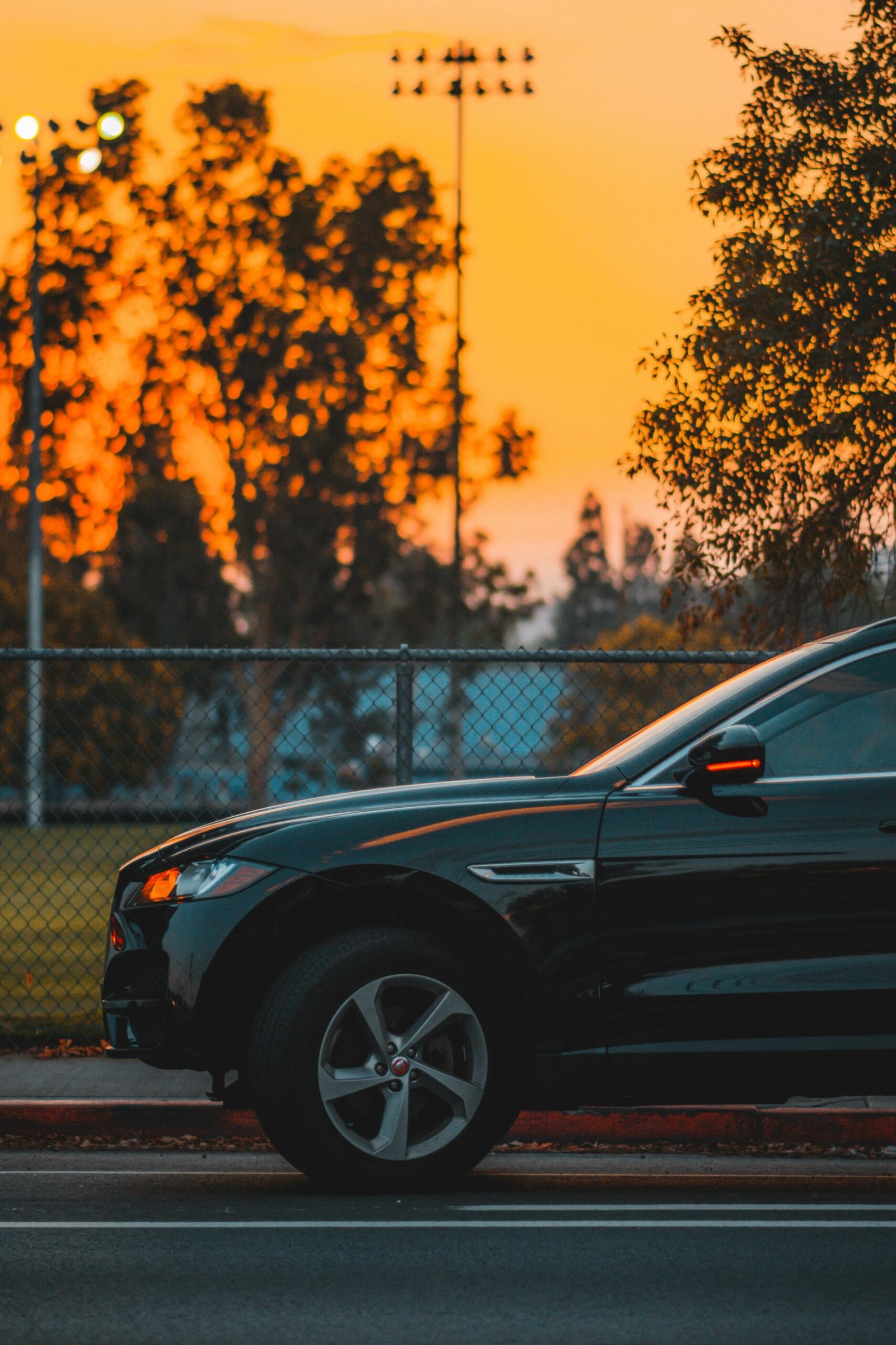 pexels-photo-33610477-33610477.jpg